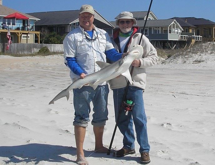 Big Bonnethead.JPG