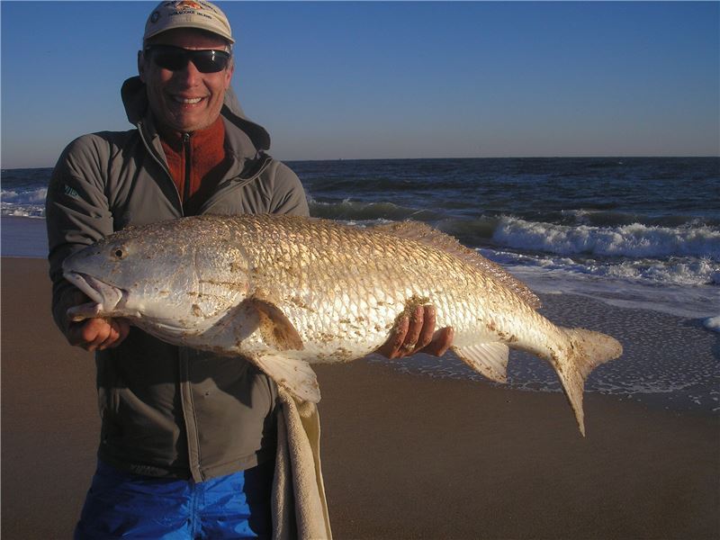 Big Winter Red.JPG