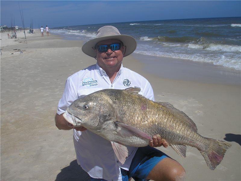 Black Drum.JPG