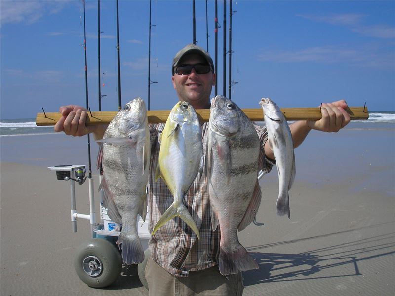 Drum, Whiting, Pompano.jpg