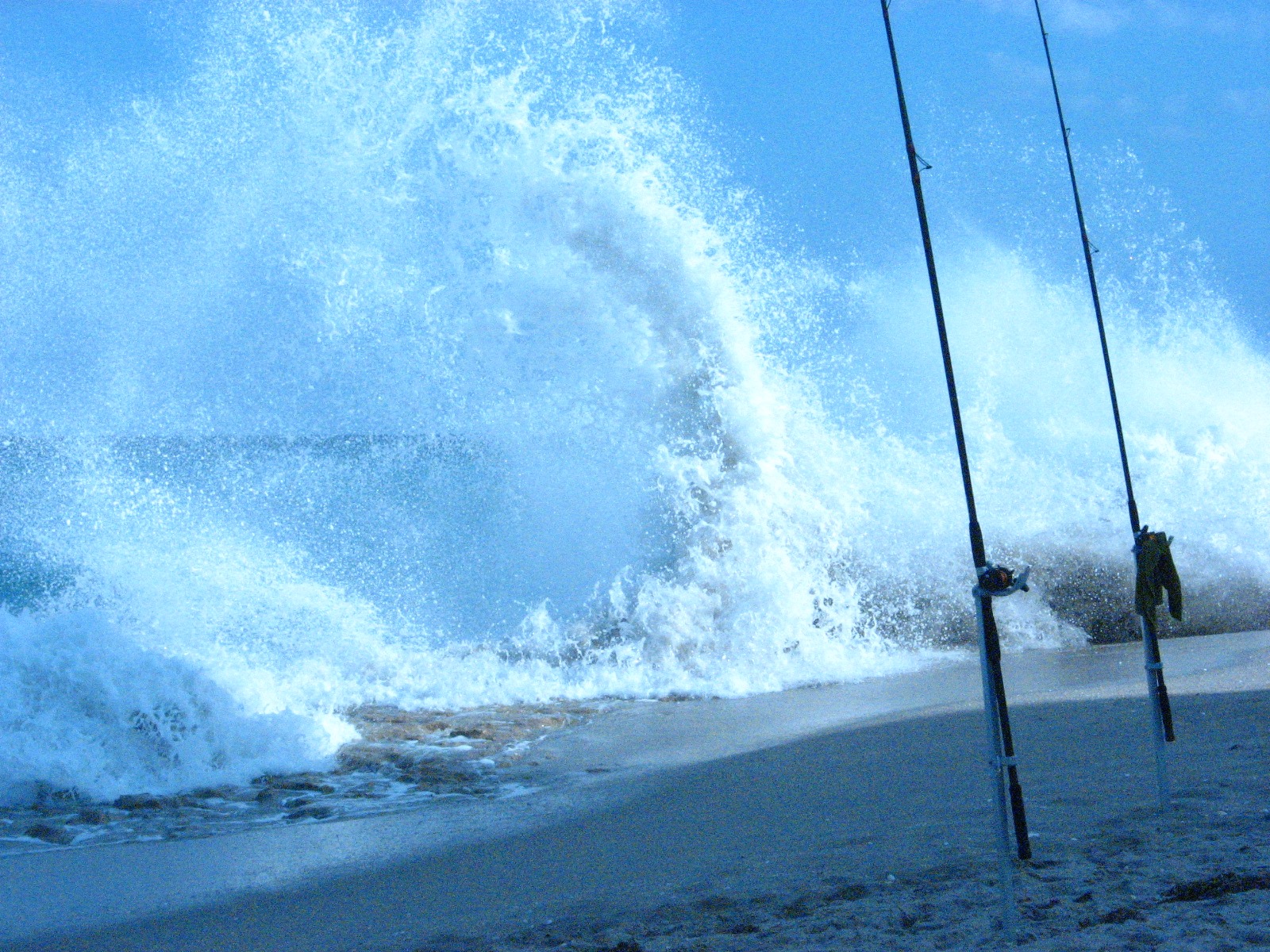 508192052 9949212648448728 3373667530025187447 n